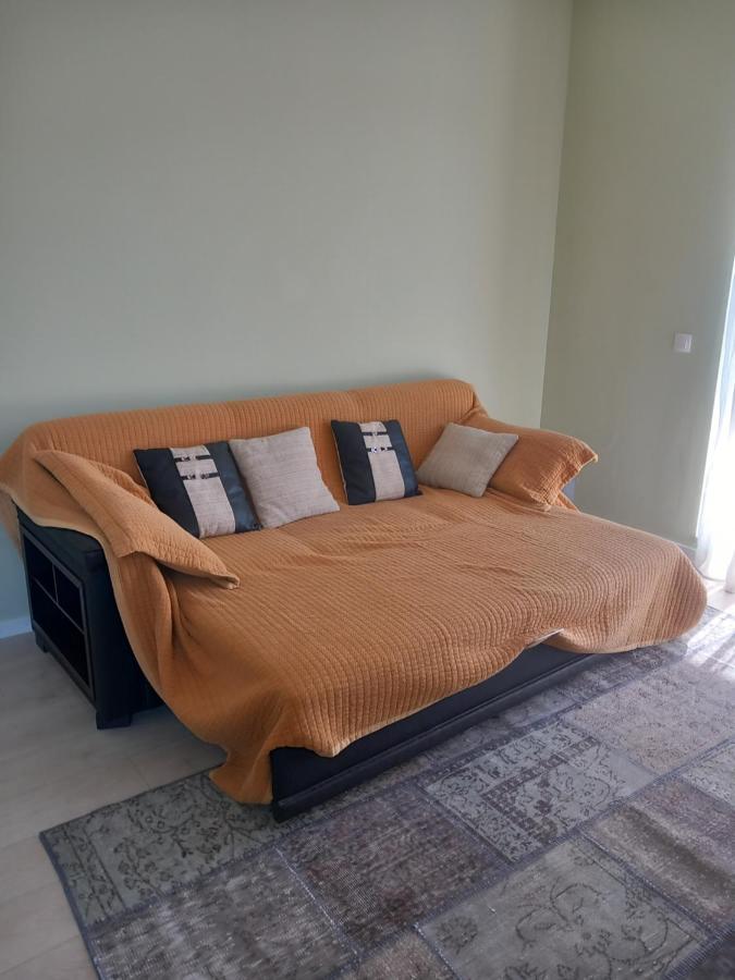 Herastrau Apartment Bucarest Esterno foto